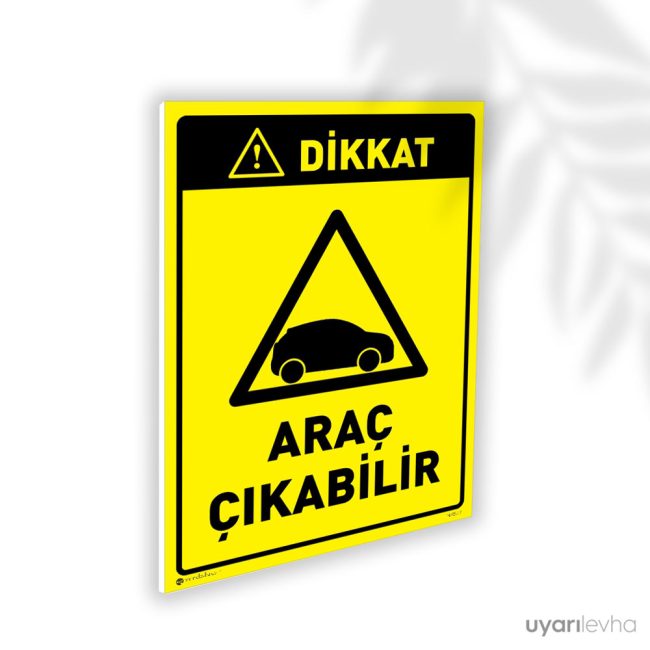 Araç Çıkabilir