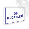 OG Hücreleri